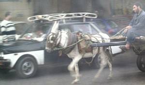 Taxi's en Ezels in Cairo