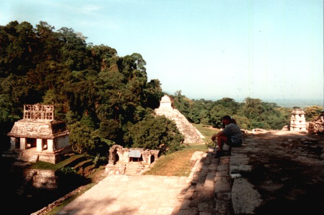 Uitzicht over de ruines van Palenque