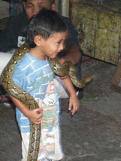 Jongetje met slang op de vogeltjesmarkt