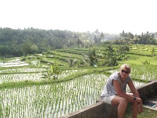 Uitzicht op mooie rijstvelden