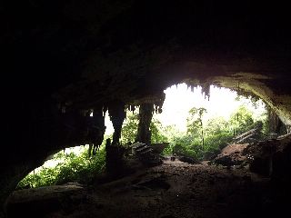 De grotten van Niah