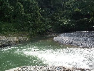 Zwemmen in de stroomversnelling